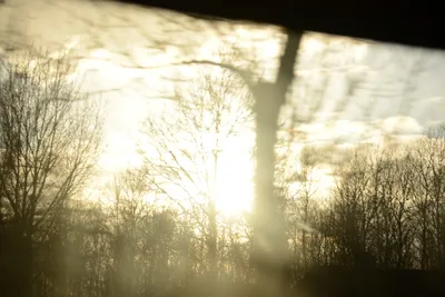 DSC_1347 (Large).JPG